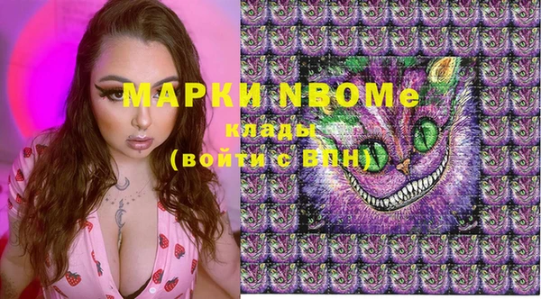 амф Гусь-Хрустальный