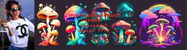 хмурый Гусиноозёрск