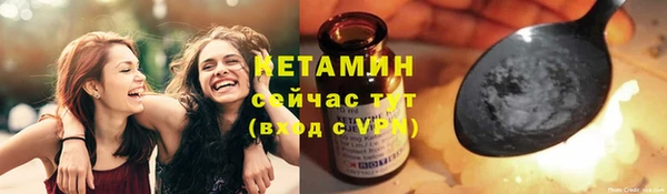 амф Гусь-Хрустальный
