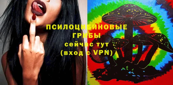 экстази Дмитров