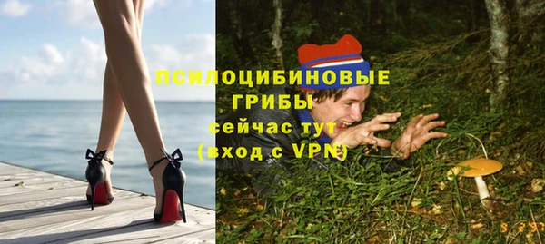 экстази Дмитров