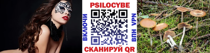 Галлюциногенные грибы GOLDEN TEACHER  Купить  Нестеров 